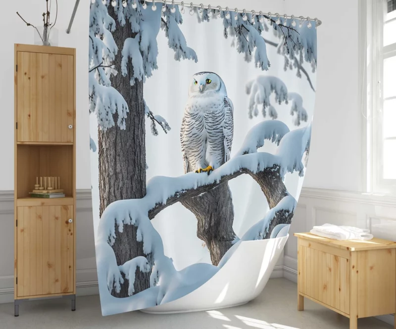 Stealthy Snowy Owl on Branch Shower Curtain 1