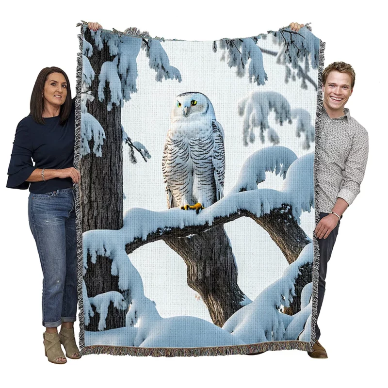 Stealthy Snowy Owl on Branch Woven Blanket