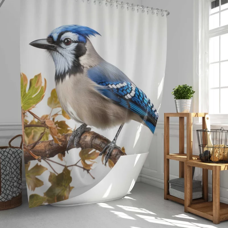 Stunning Blue Jay Photo Shower Curtain