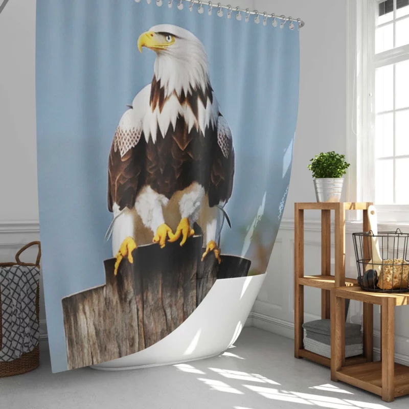 Stylish Eagle With Glasses Shower Curtain