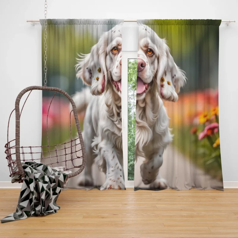 Teen Birthday Present Clumber Spaniel Magic Curtain