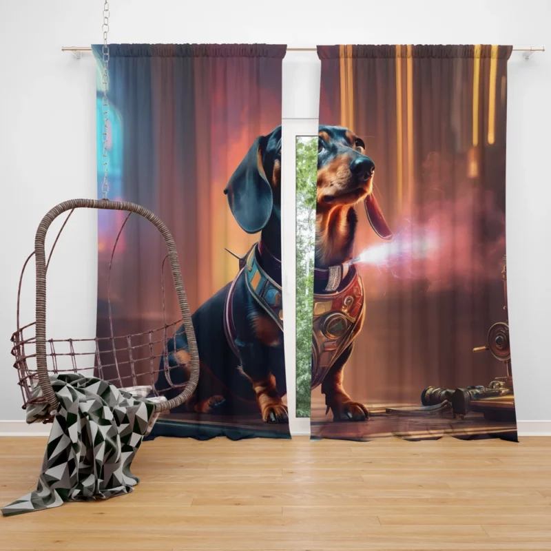 Teen Birthday Present Dachshund Magic Curtain