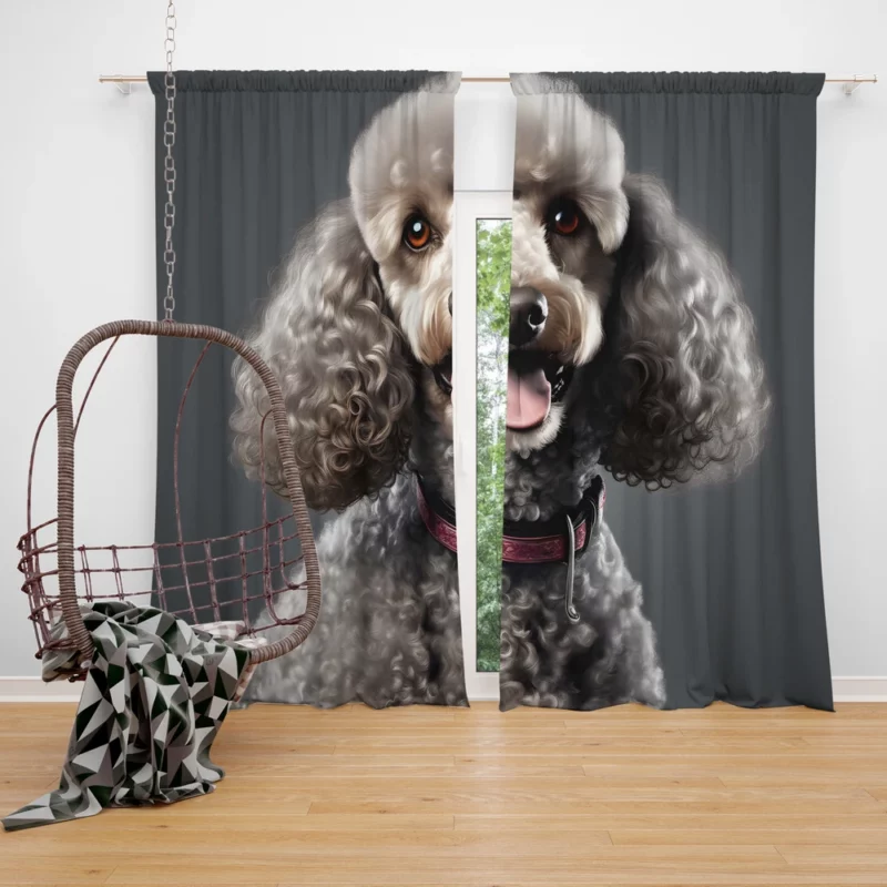 The Versatile Poodle Dog Breed Curtain