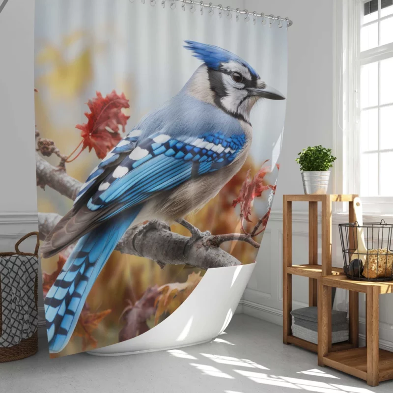 Vibrant Blue Jay Portrait Shower Curtain