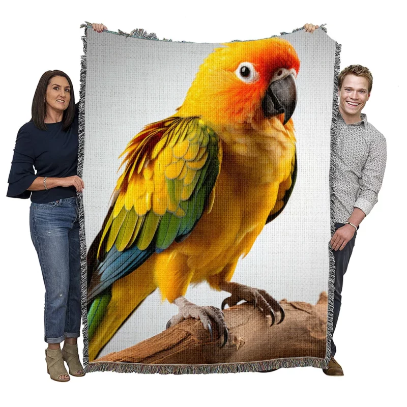 Vibrant Sun Conure Feathers of Radiance Woven Blanket