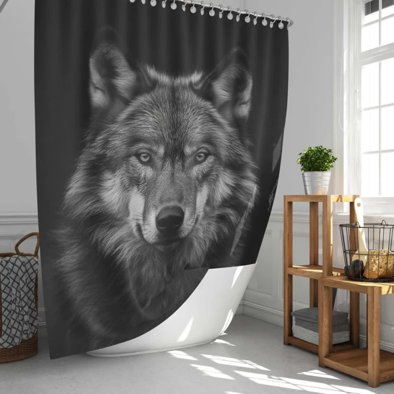 Wolf on Black Background Shower Curtain